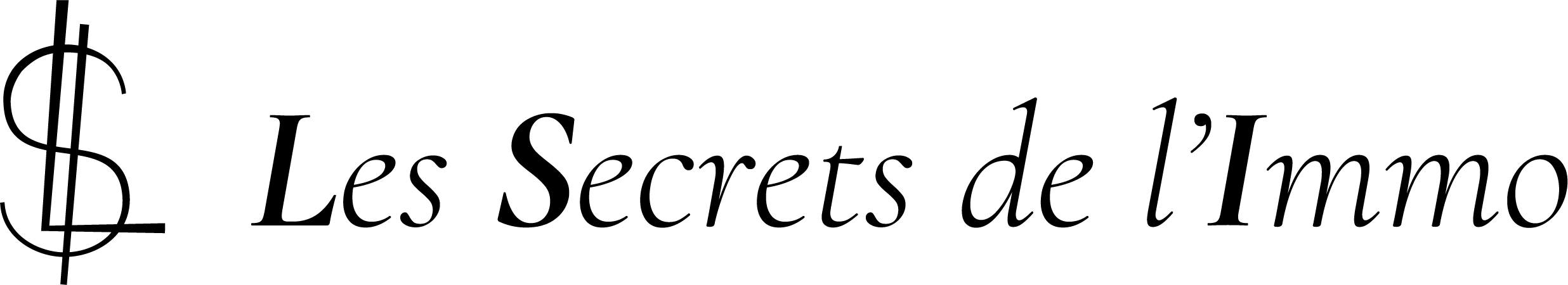 LSI-website-2