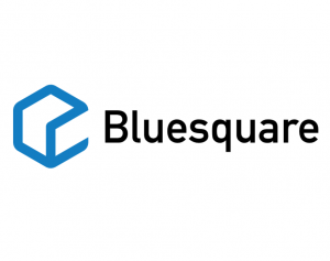 bluesquare-logo-300x237-1